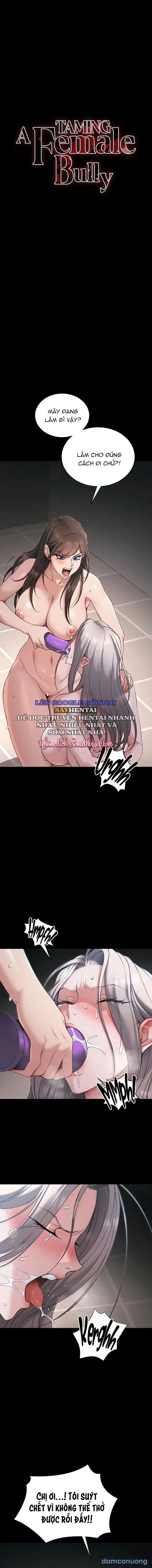 đọc truyện Thuần Phục Kẻ Bắt Nạt Chương 61 ảnh 3 tại Thiên Thai Truyện