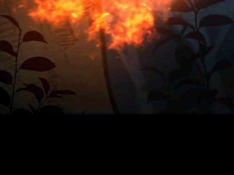 đọc truyện Thực Long Ma Pháp Sư Chương 24 ảnh 212 tại Thiên Thai Truyện