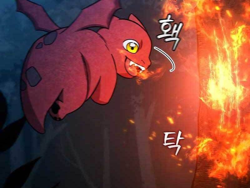 đọc truyện Thực Long Ma Pháp Sư Chương 24 ảnh 214 tại Thiên Thai Truyện