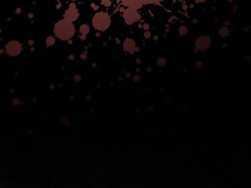 đọc truyện Thực Long Ma Pháp Sư Chương 24 ảnh 52 tại Thiên Thai Truyện