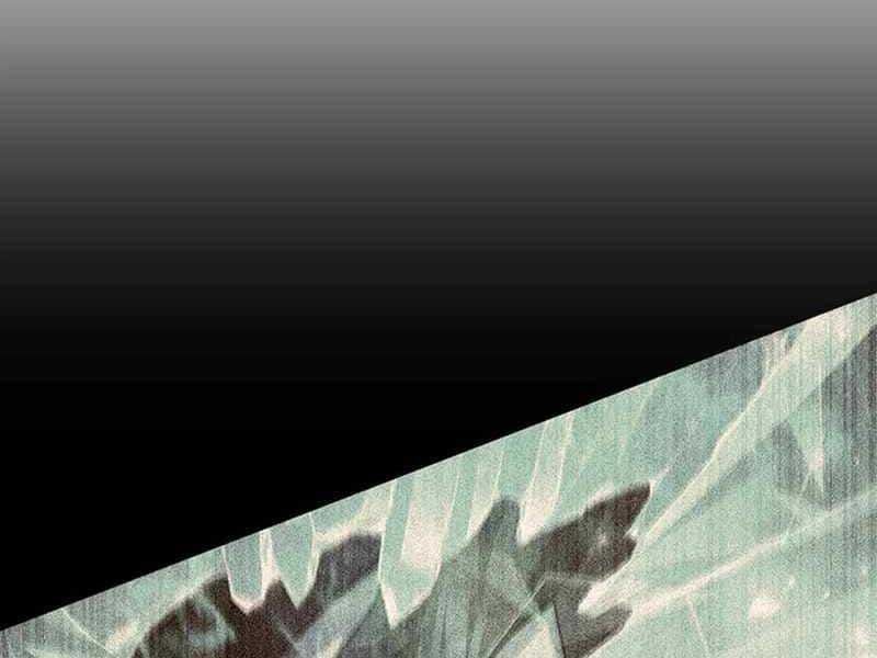 đọc truyện Thực Long Ma Pháp Sư Chương 47 ảnh 113 tại Thiên Thai Truyện