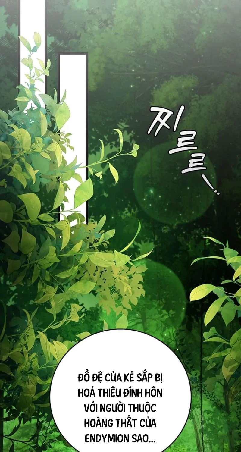 đọc truyện Thực Long Ma Pháp Sư Chương 66 ảnh 83 tại Thiên Thai Truyện