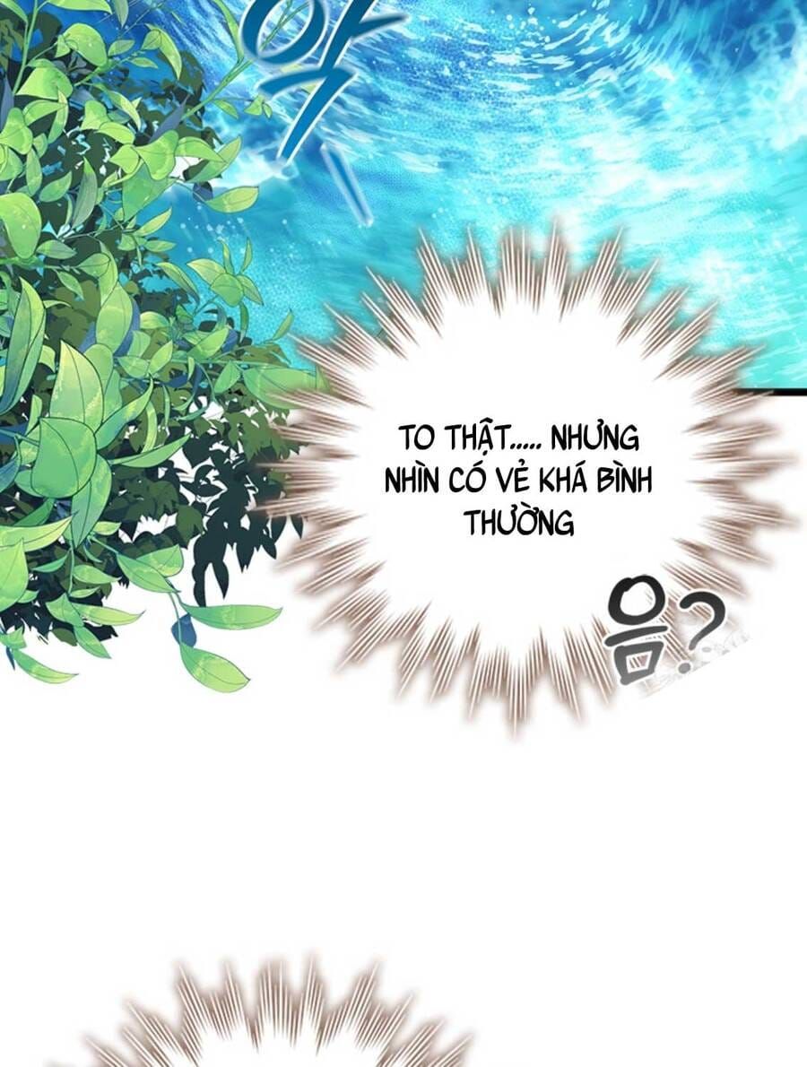 đọc truyện Thực Long Ma Pháp Sư Chương 72 ảnh 62 tại Thiên Thai Truyện