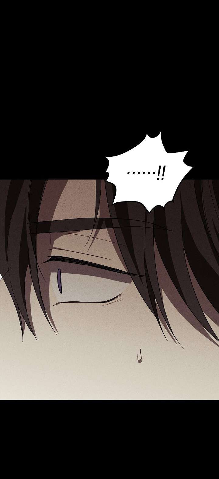 đọc truyện Thực Ra Tôi Mới Là Thật Chương 117.1 ảnh 38 tại Thiên Thai Truyện