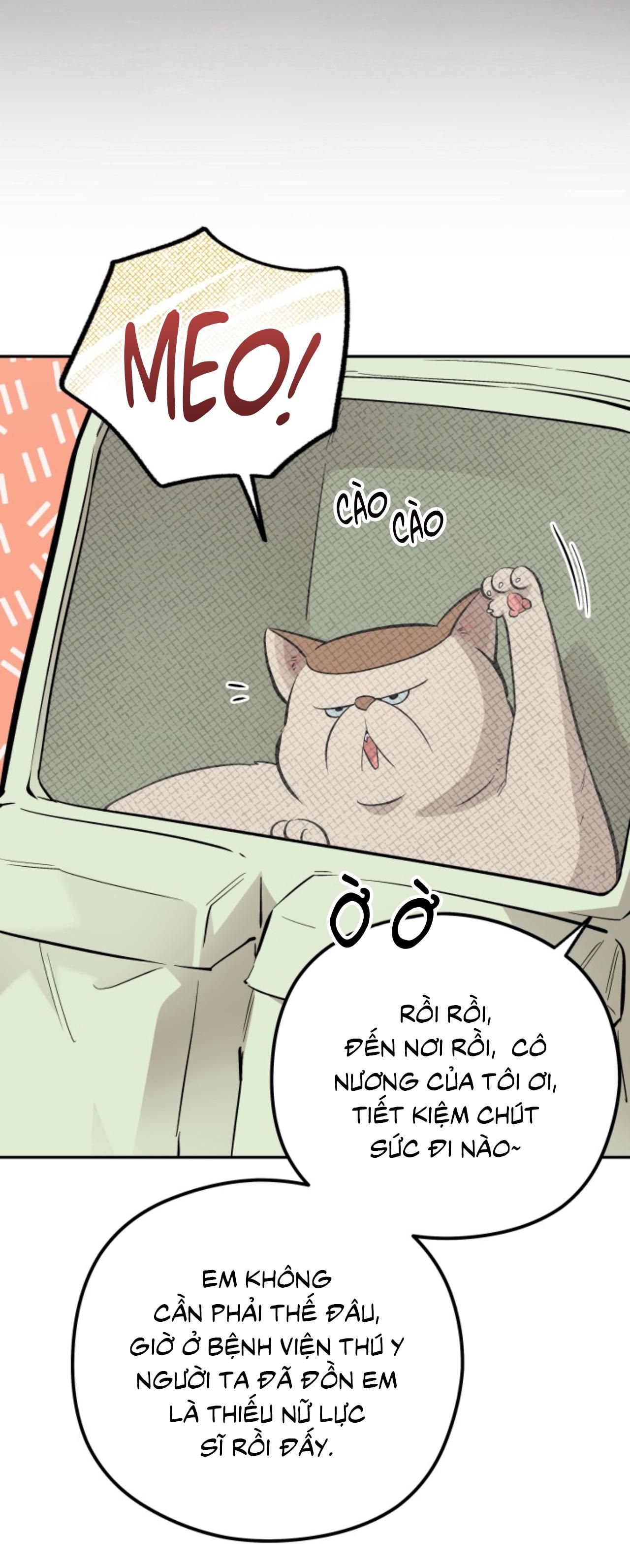 đọc truyện Tiệm Bánh Nóng Bỏng Và Gợi Cảm Chương 26 ảnh 5 tại Thiên Thai Truyện