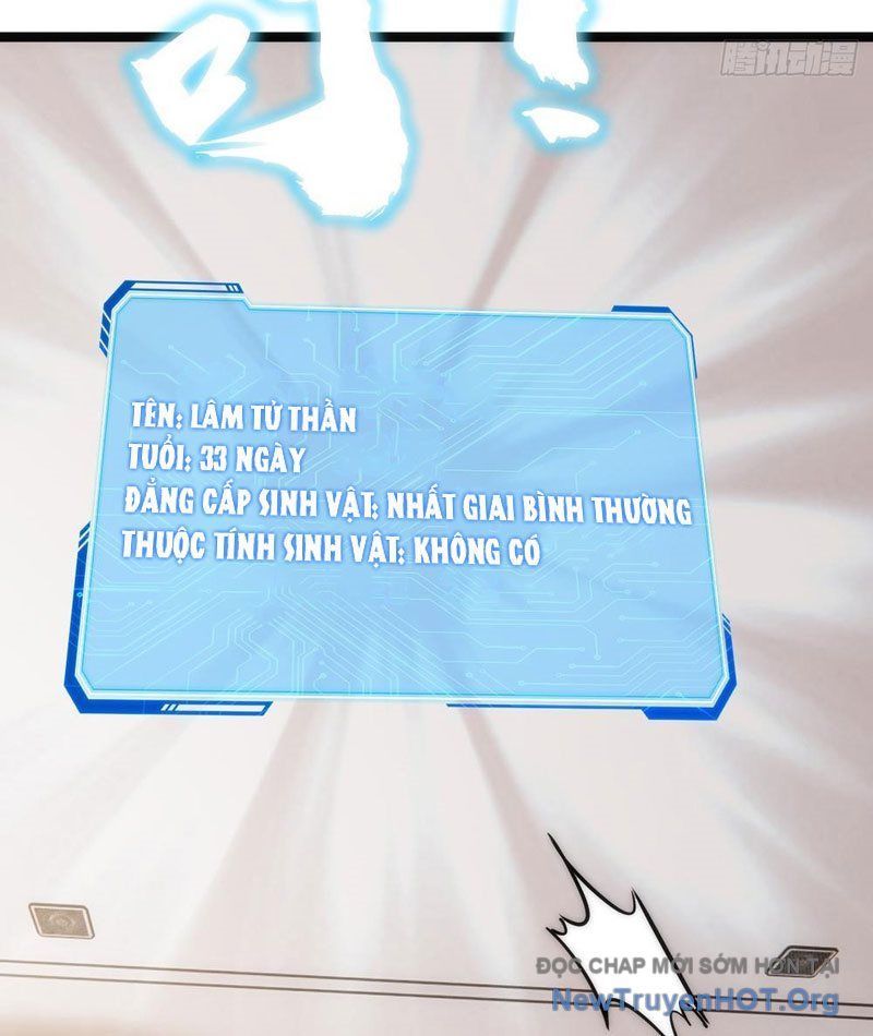 đọc truyện Tiến Hóa Vô Hạn Bắt Đầu Từ Con Số Không Chương 1 ảnh 14 tại Thiên Thai Truyện