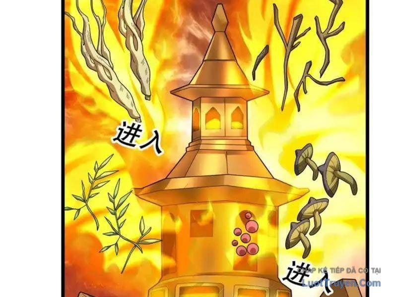 đọc truyện Tiên Làm Nô Thần Là Bộc, Đại Đế Làm Chó Giữ Nhà Chương 79 ảnh 32 tại Thiên Thai Truyện