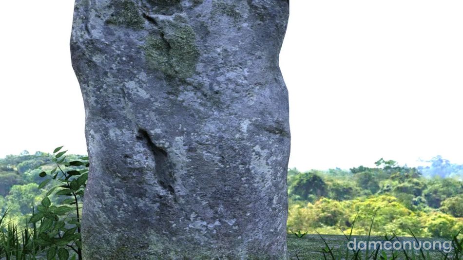 đọc truyện Tiên Tử Nón Xanh Sinh Hoạt Chương 3 ảnh 67 tại Thiên Thai Truyện