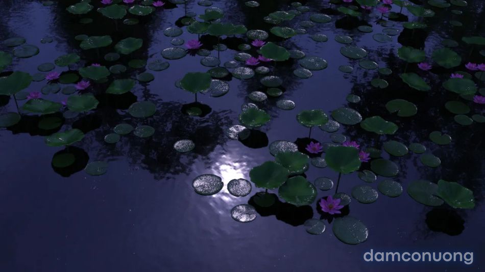 đọc truyện Tiên Tử Nón Xanh Sinh Hoạt Chương 3 ảnh 92 tại Thiên Thai Truyện