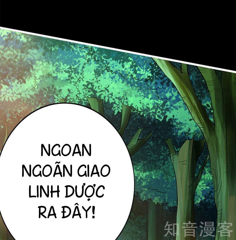 đọc truyện Tiên Võ Đế Tôn Chương 1 ảnh 17 tại Thiên Thai Truyện
