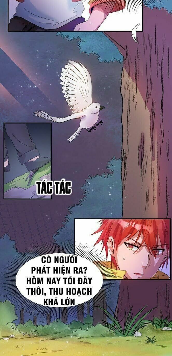 đọc truyện Tiên Vương Trùng Sinh Chương 6 ảnh 4 tại Thiên Thai Truyện