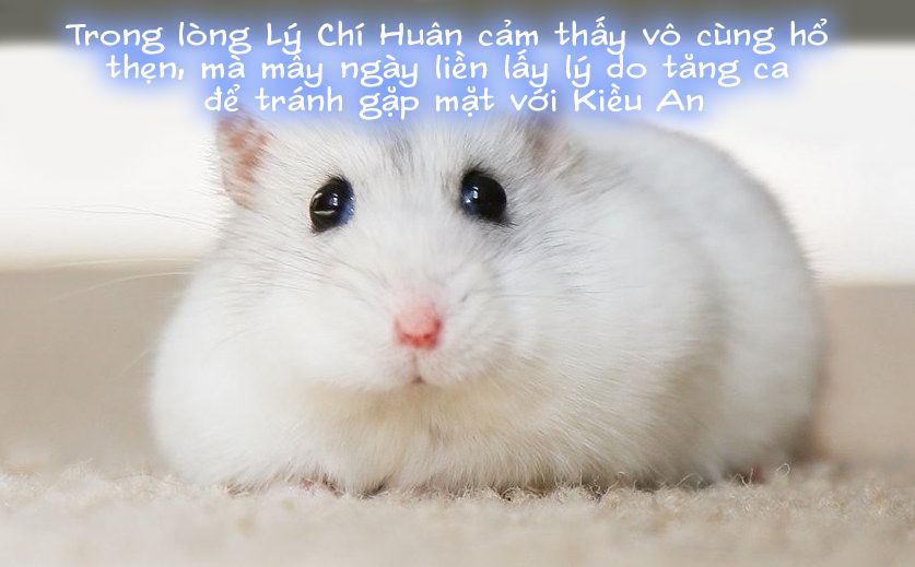 đọc truyện Tiểu Sử Của Trần Kiều An Chương 6 ảnh 37 tại Thiên Thai Truyện