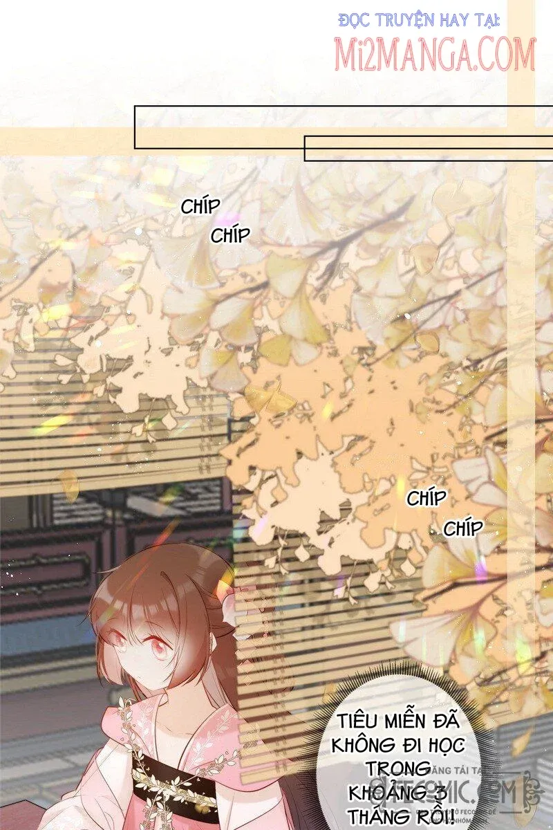 đọc truyện Tiểu Thanh Mai Của Điện Hạ Chương 10 ảnh 17 tại Thiên Thai Truyện