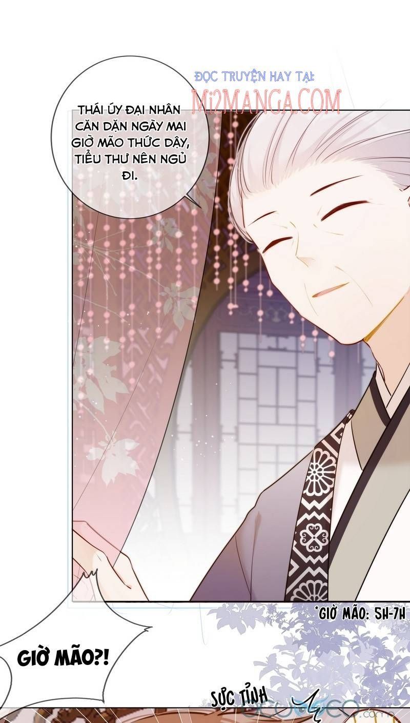 đọc truyện Tiểu Thanh Mai Của Điện Hạ Chương 15 ảnh 13 tại Thiên Thai Truyện