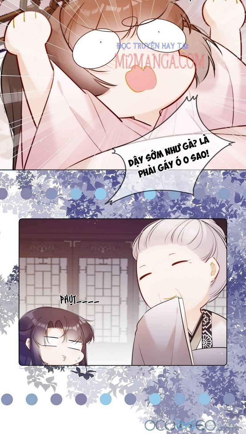 đọc truyện Tiểu Thanh Mai Của Điện Hạ Chương 15 ảnh 14 tại Thiên Thai Truyện