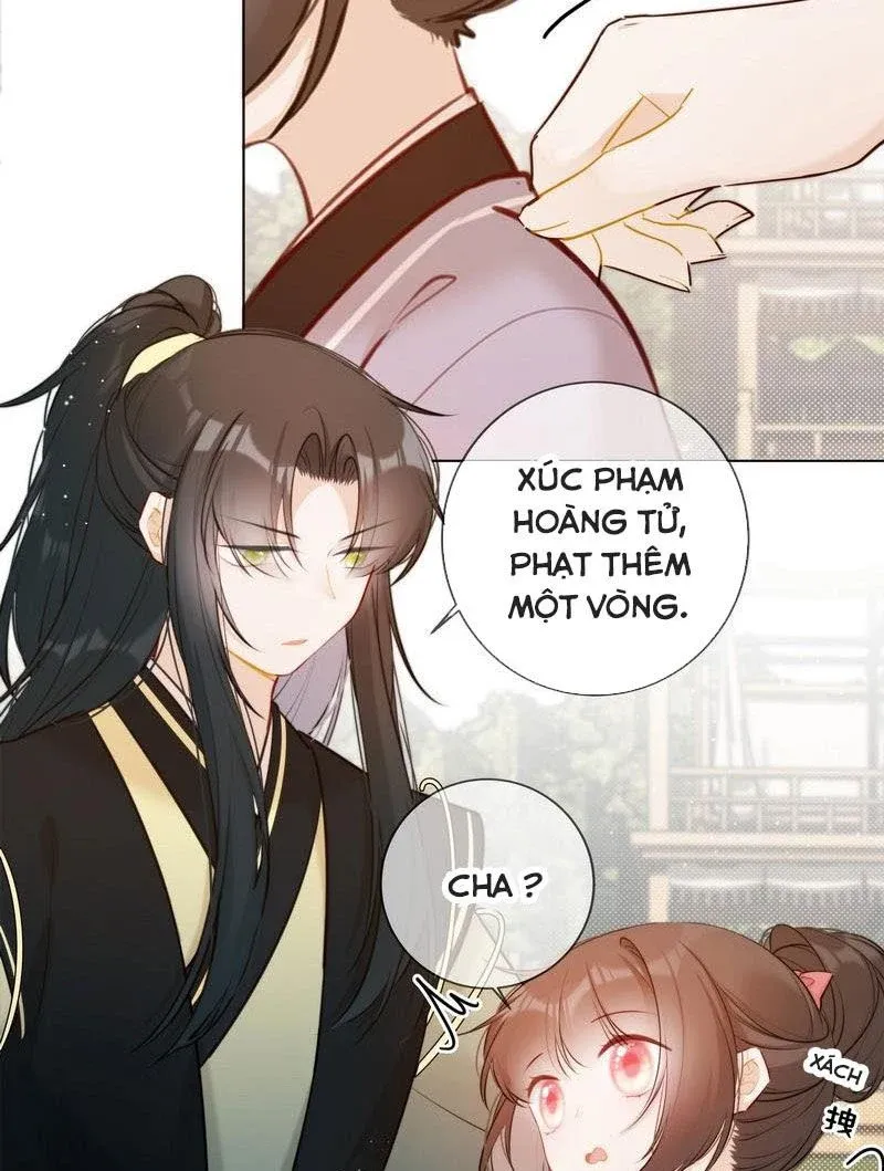 đọc truyện Tiểu Thanh Mai Của Điện Hạ Chương 17 ảnh 14 tại Thiên Thai Truyện