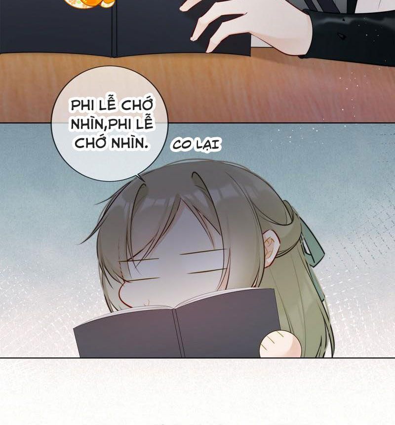 đọc truyện Tiểu Thanh Mai Của Điện Hạ Chương 17 ảnh 33 tại Thiên Thai Truyện