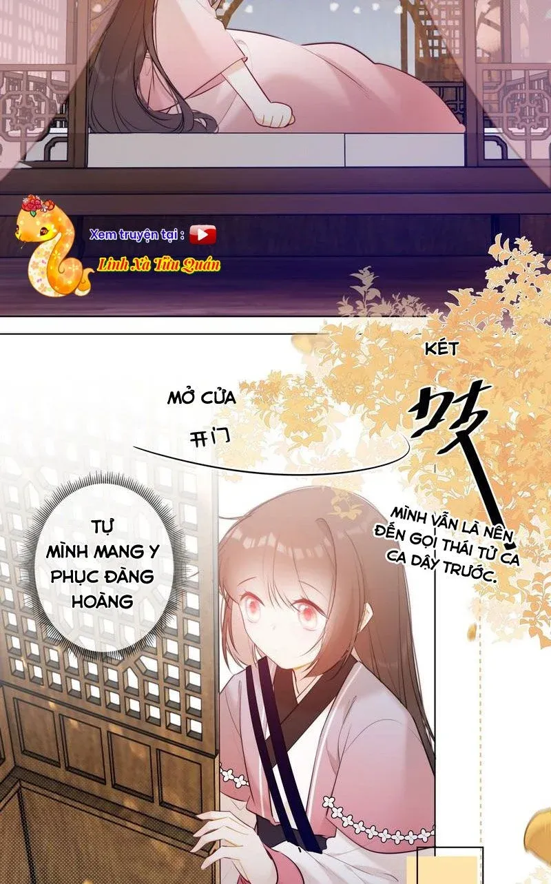 đọc truyện Tiểu Thanh Mai Của Điện Hạ Chương 18 ảnh 7 tại Thiên Thai Truyện