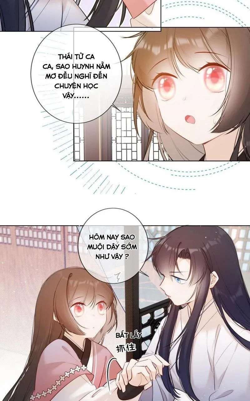 đọc truyện Tiểu Thanh Mai Của Điện Hạ Chương 18 ảnh 11 tại Thiên Thai Truyện