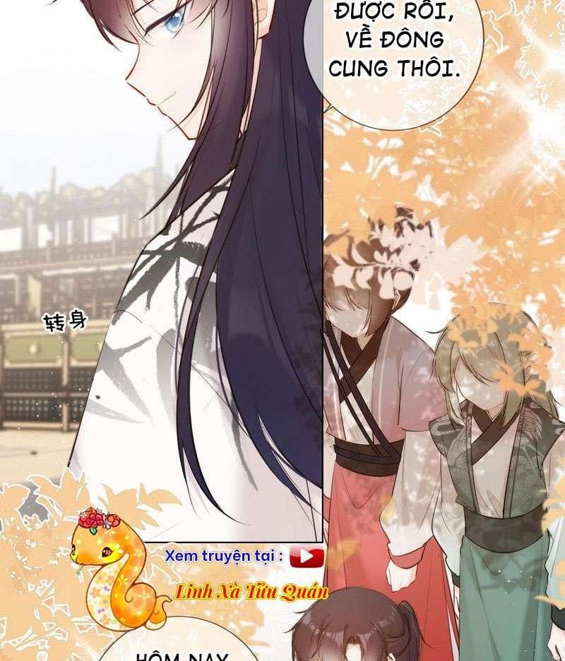 đọc truyện Tiểu Thanh Mai Của Điện Hạ Chương 19 ảnh 14 tại Thiên Thai Truyện