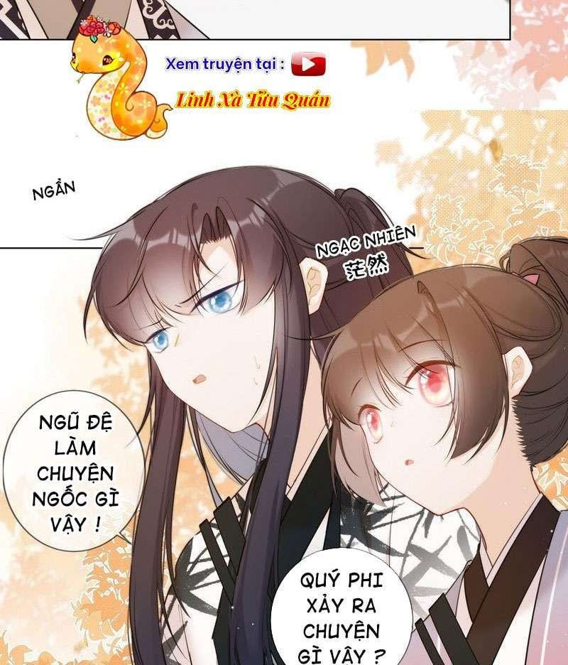 đọc truyện Tiểu Thanh Mai Của Điện Hạ Chương 19 ảnh 17 tại Thiên Thai Truyện