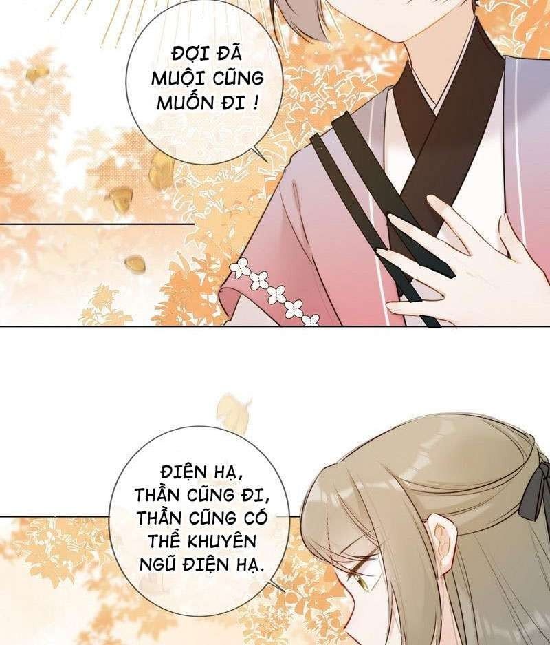 đọc truyện Tiểu Thanh Mai Của Điện Hạ Chương 19 ảnh 20 tại Thiên Thai Truyện