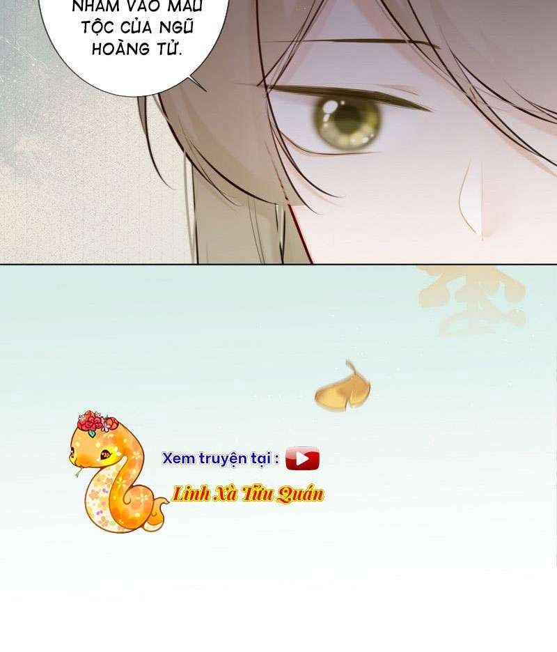 đọc truyện Tiểu Thanh Mai Của Điện Hạ Chương 19 ảnh 23 tại Thiên Thai Truyện