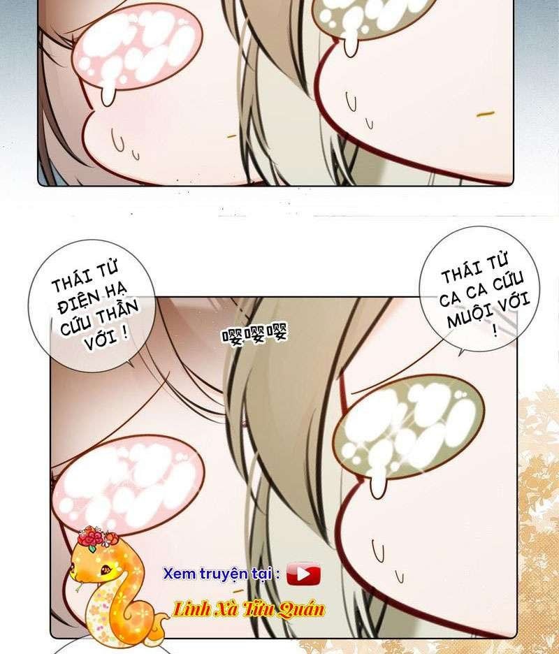 đọc truyện Tiểu Thanh Mai Của Điện Hạ Chương 19 ảnh 10 tại Thiên Thai Truyện