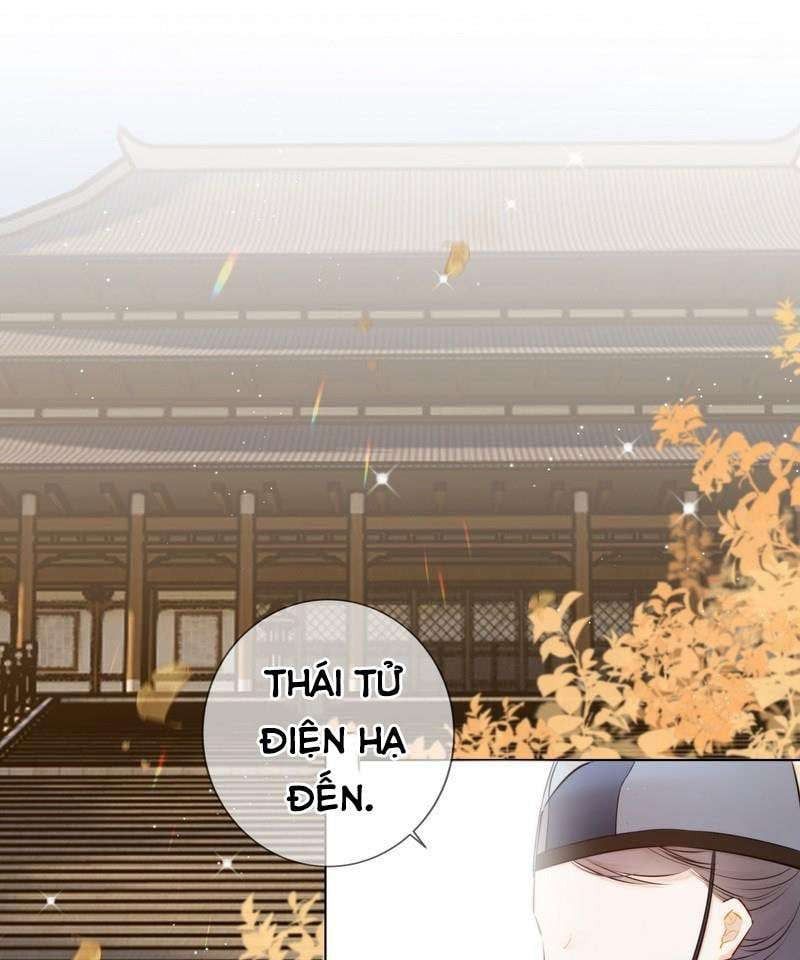 đọc truyện Tiểu Thanh Mai Của Điện Hạ Chương 20 ảnh 14 tại Thiên Thai Truyện