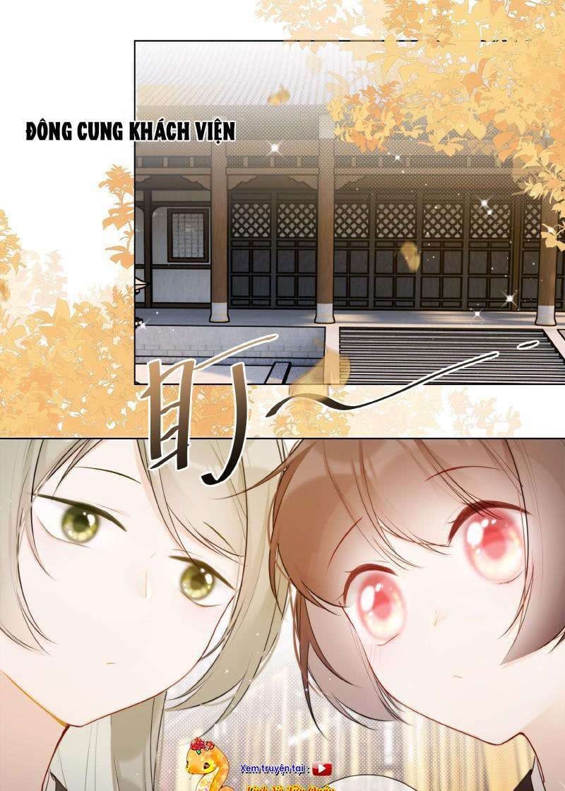 đọc truyện Tiểu Thanh Mai Của Điện Hạ Chương 21 ảnh 4 tại Thiên Thai Truyện