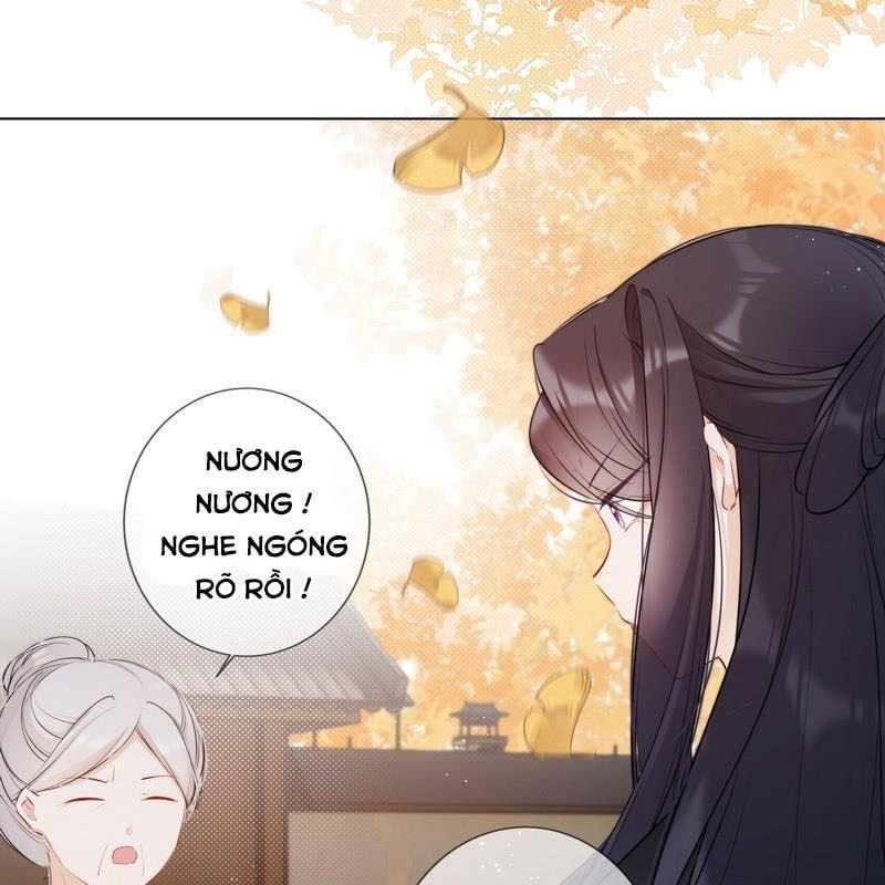 đọc truyện Tiểu Thanh Mai Của Điện Hạ Chương 22 ảnh 6 tại Thiên Thai Truyện