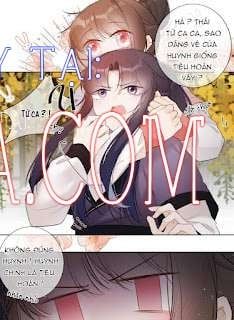 đọc truyện Tiểu Thanh Mai Của Điện Hạ Chương 24 ảnh 24 tại Thiên Thai Truyện