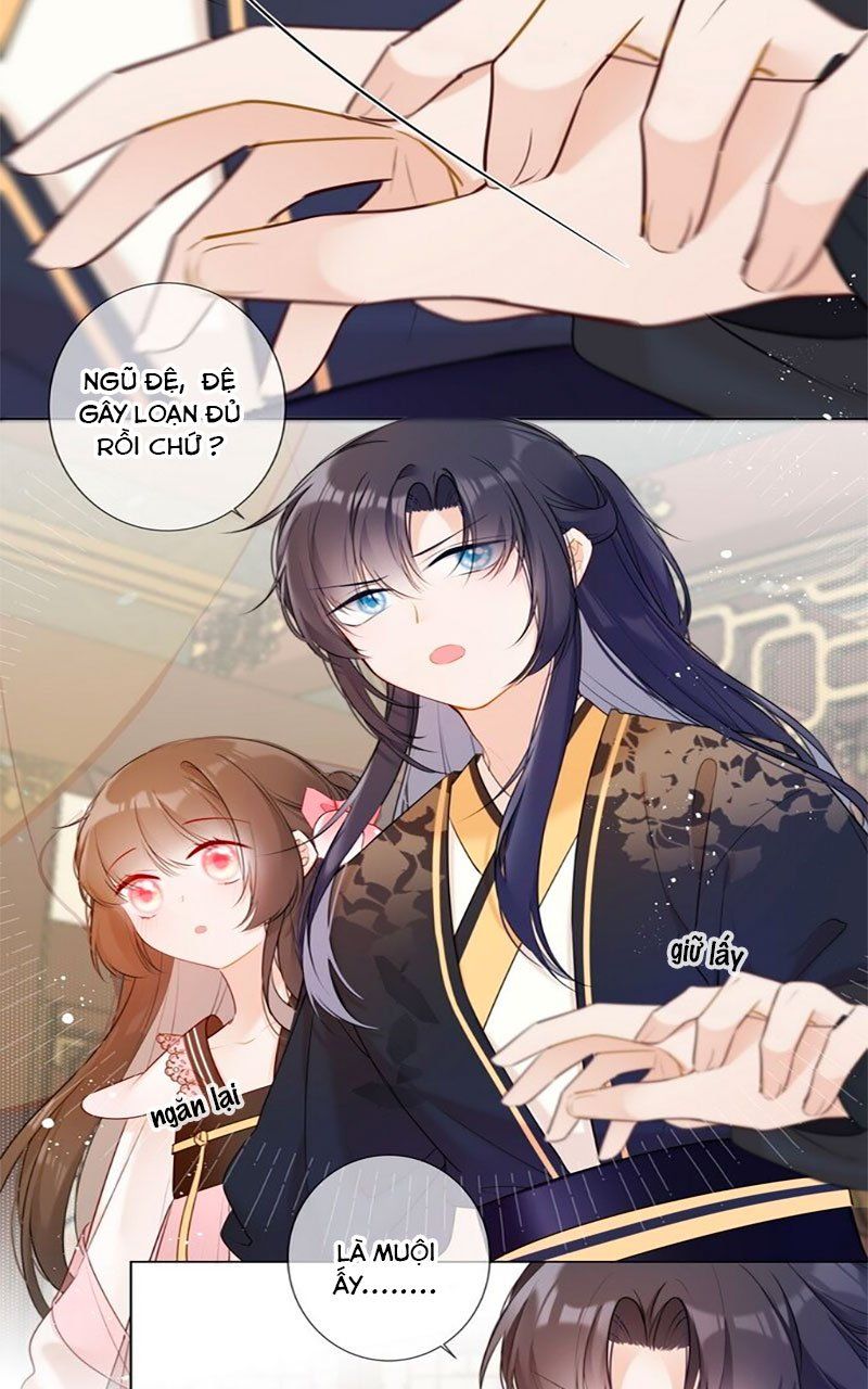 đọc truyện Tiểu Thanh Mai Của Điện Hạ Chương 4 ảnh 19 tại Thiên Thai Truyện