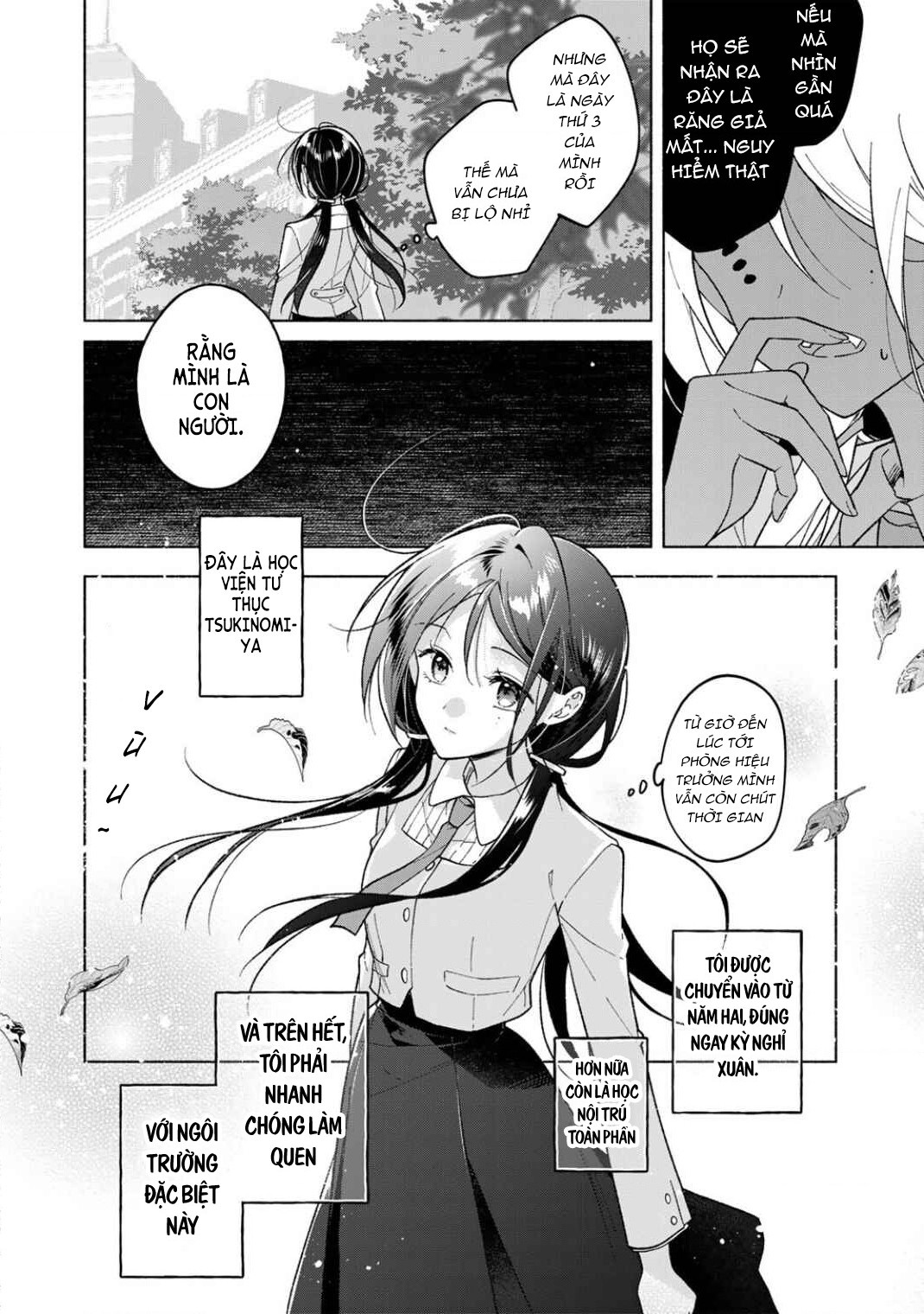 đọc truyện Tiểu Thư Shirotae, Đây Là Bí Mật Nhé~ Chương 1 ảnh 9 tại Thiên Thai Truyện