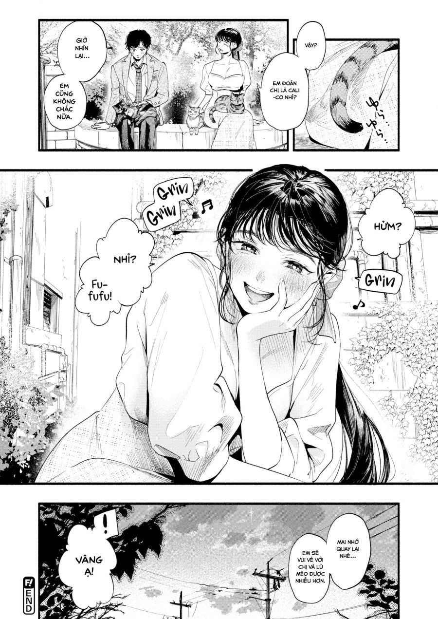 đọc truyện Tìm Hiểu Nàng Misuzu Chương 0 ảnh 19 tại Thiên Thai Truyện