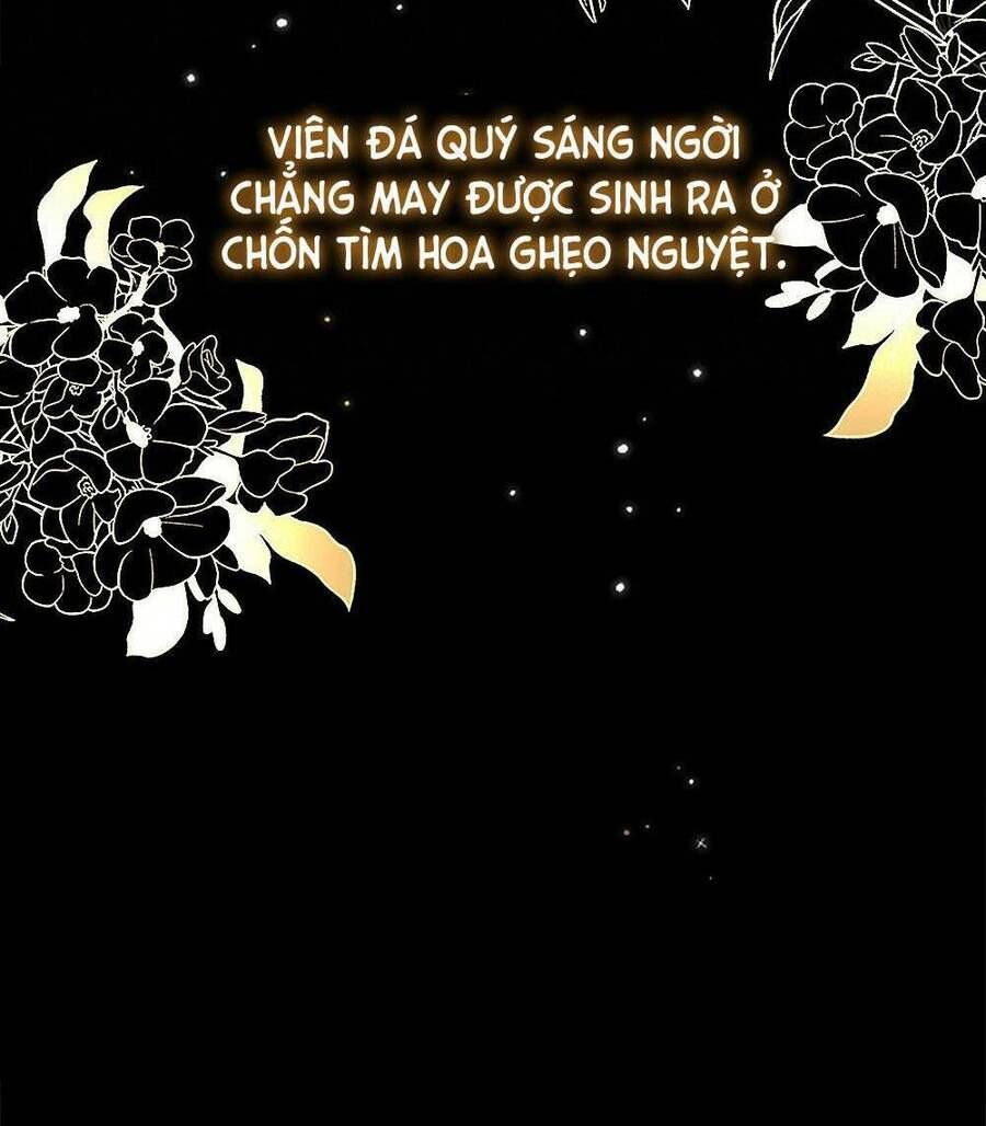 đọc truyện Tìm Lại Camellia Chương 1 ảnh 29 tại Thiên Thai Truyện