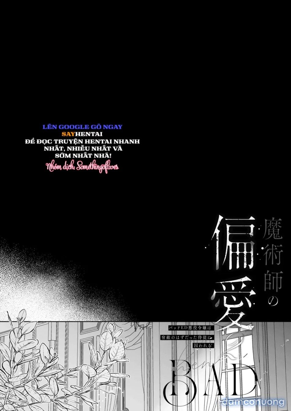 đọc truyện Tình Cảm Của Một Pháp Sư 2 Chương 1 ảnh 5 tại Thiên Thai Truyện