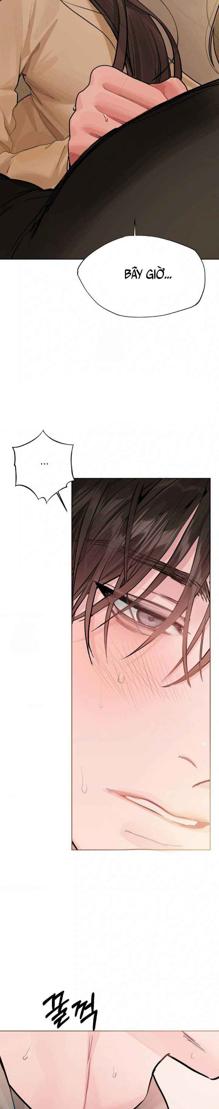 đọc truyện Tình Cờ Gặp Gỡ Chương 13.5 ảnh 11 tại Thiên Thai Truyện