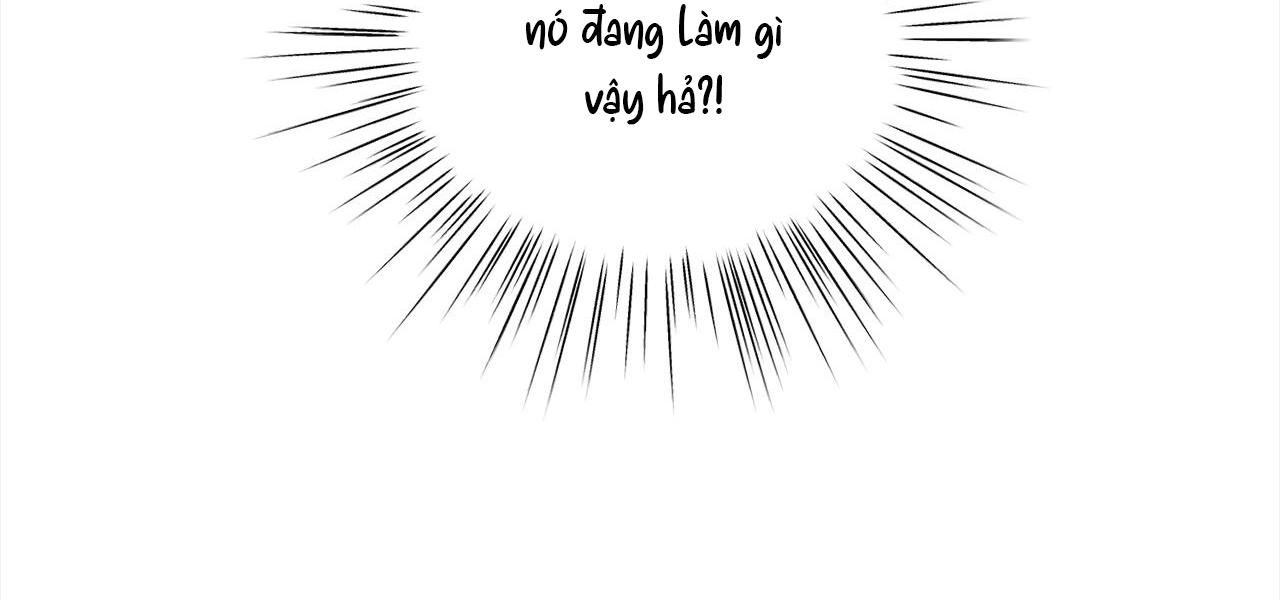 Tình Nhân Của Anh Trai Tôi Chương 11 page 53 - Giả Dược