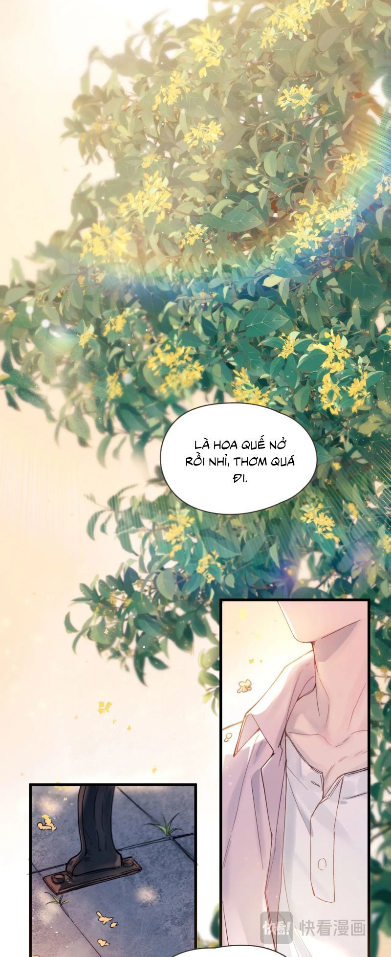 đọc truyện Tinh Vệ Chương 37 ảnh 14 tại Thiên Thai Truyện