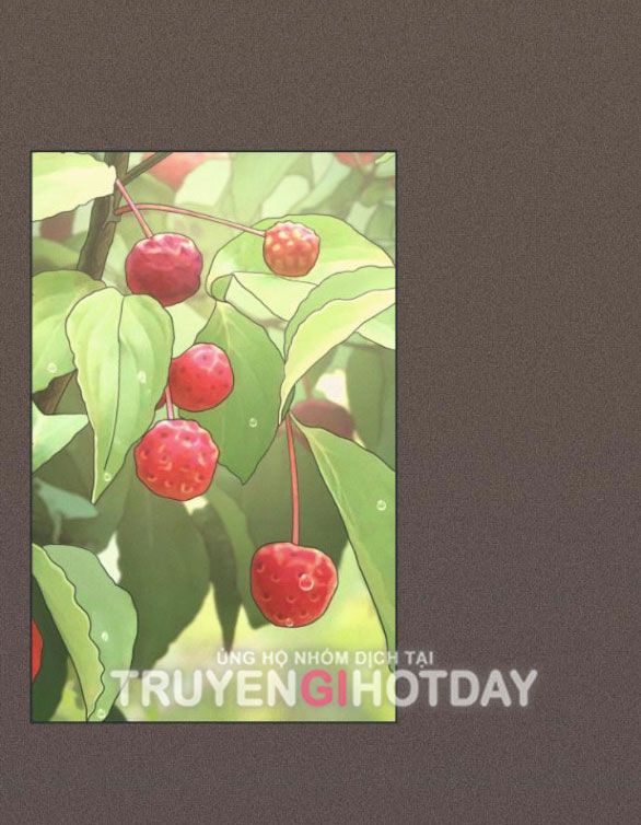 đọc truyện Tình Yêu Của Ik Seob Chương 18 ảnh 5 tại Giả Dược