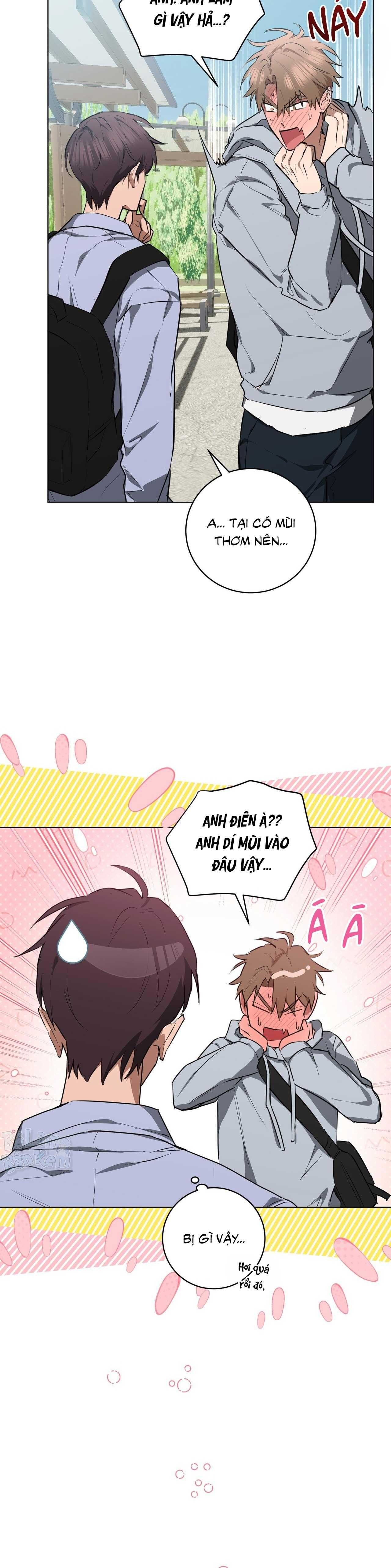 đọc truyện Tình Yêu Kẹo Bạc Hà Chương 22 ảnh 22 tại Thiên Thai Truyện