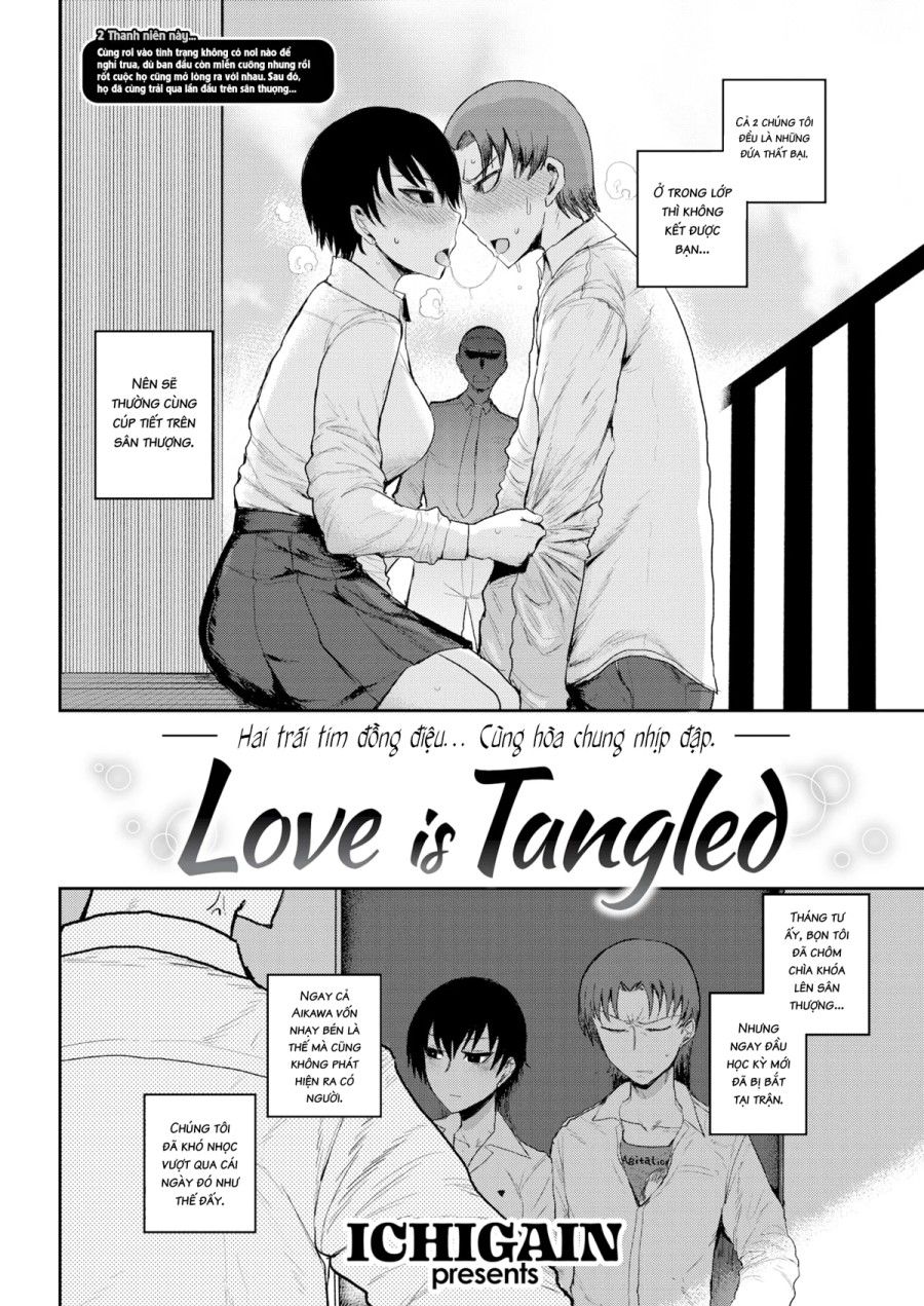 Tình Yêu Rắc Rối Chương 2 page 3 - Giả Dược