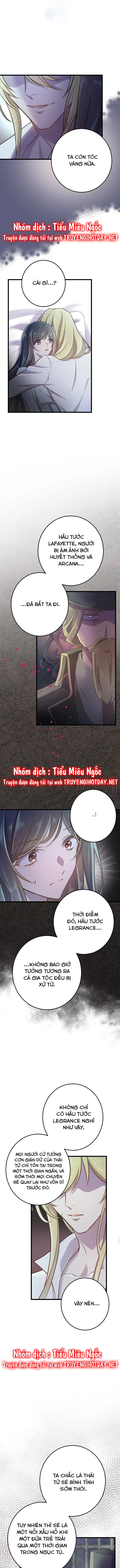 đọc truyện Tình Yêu Thuần Khiết Chương 51 ảnh 8 tại Giả Dược