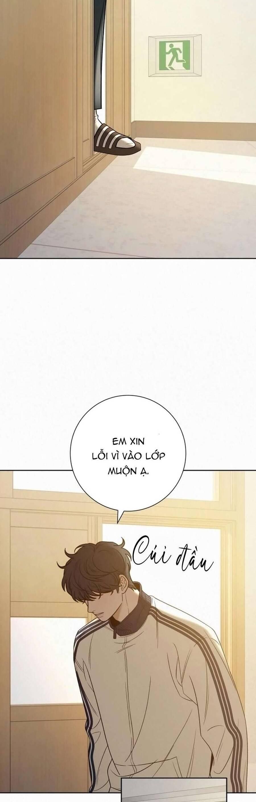 đọc truyện Tình Yêu Trong Sáng Chương 102 ảnh 40 tại Thiên Thai Truyện