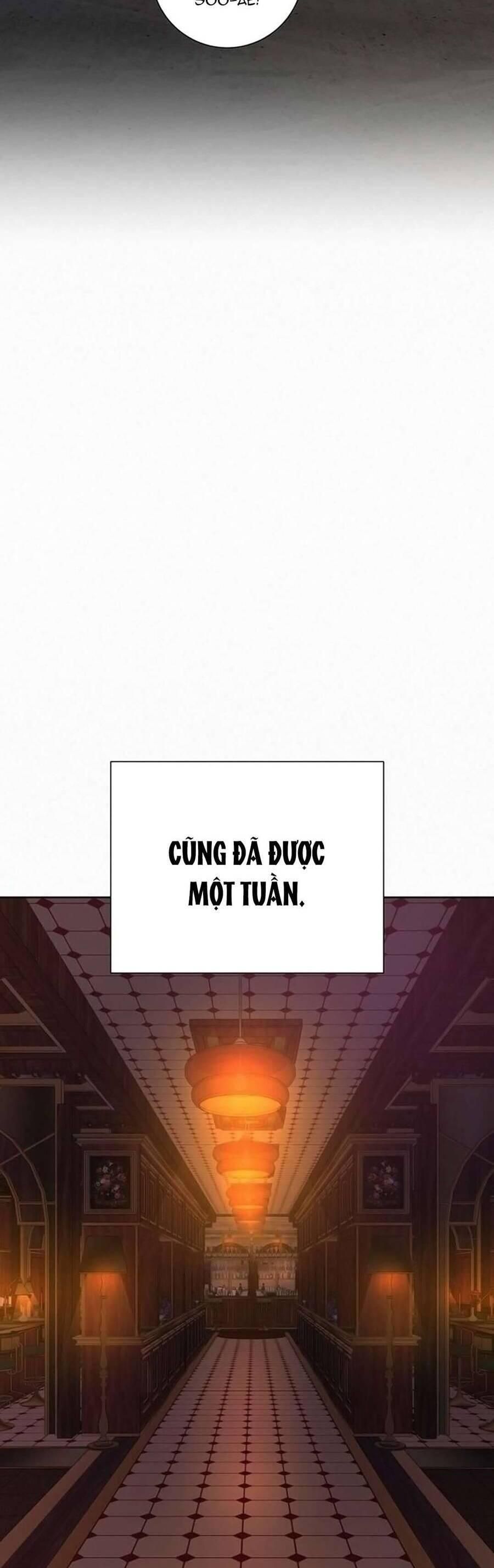 đọc truyện Tình Yêu Trong Sáng Chương 104 ảnh 55 tại Thiên Thai Truyện