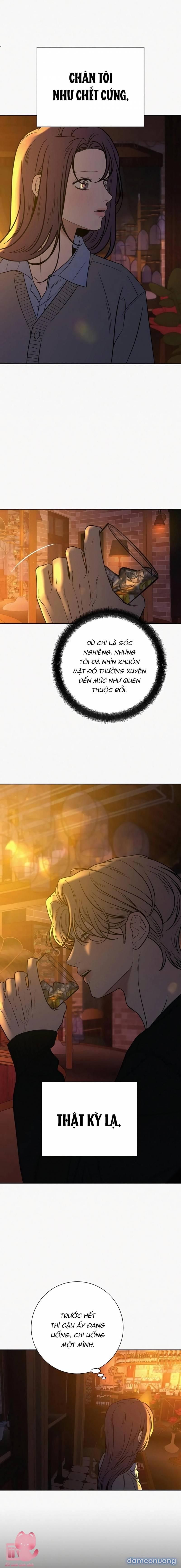 đọc truyện Tình Yêu Trong Sáng Chương 105 ảnh 7 tại Thiên Thai Truyện