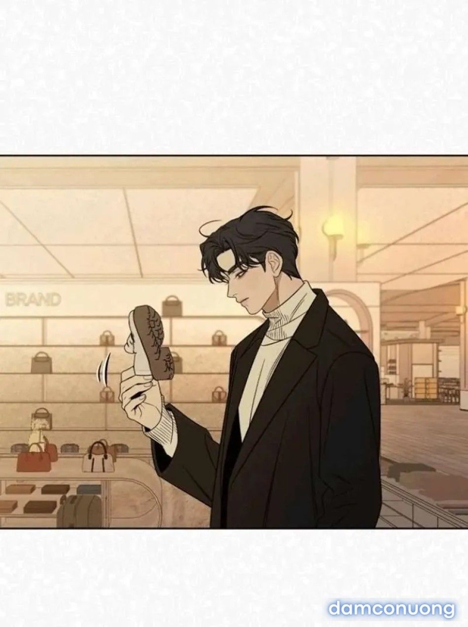 đọc truyện Tình Yêu Trong Sáng Chương 128 ảnh 96 tại Thiên Thai Truyện