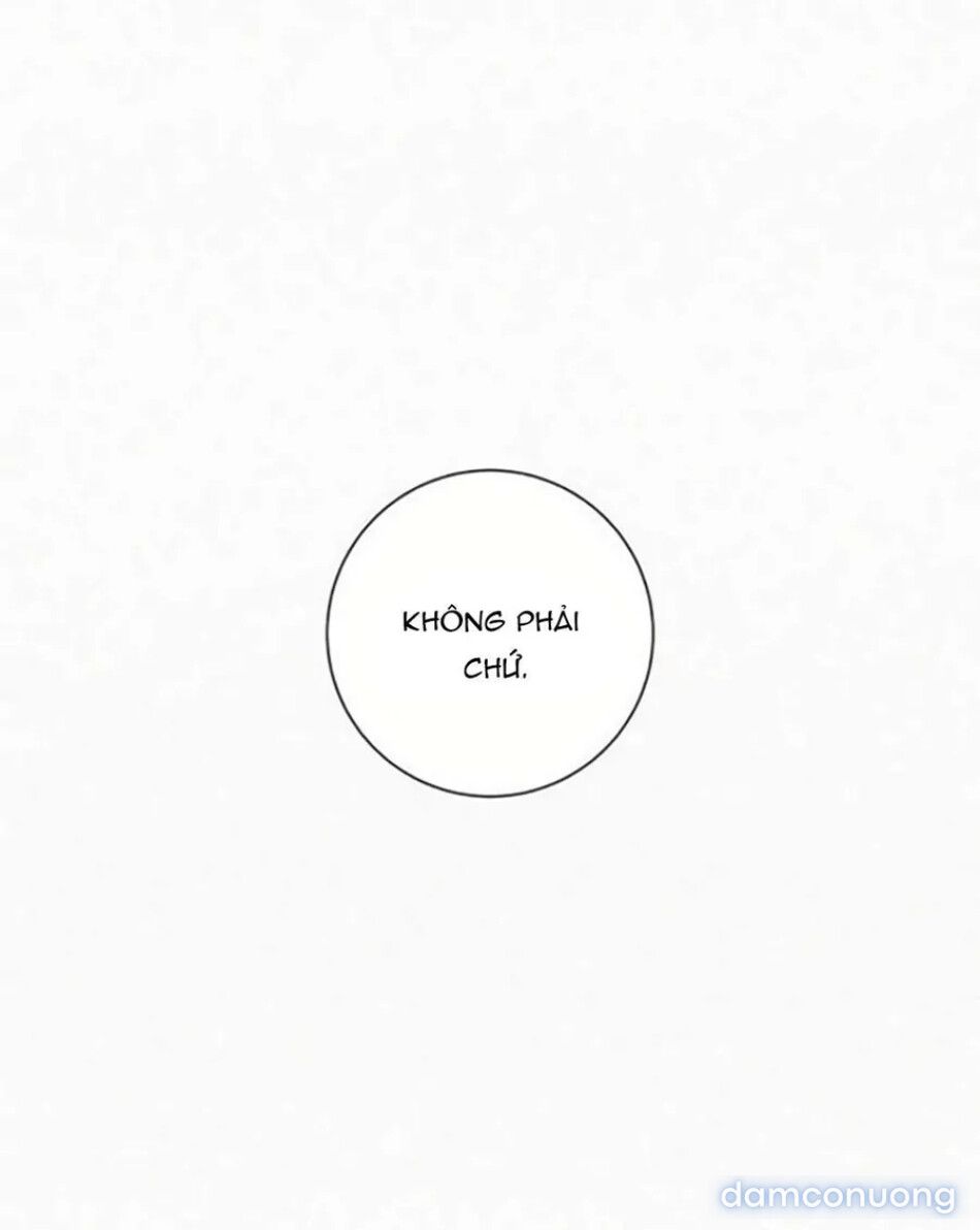 đọc truyện Tình Yêu Trong Sáng Chương 136 ảnh 28 tại Thiên Thai Truyện