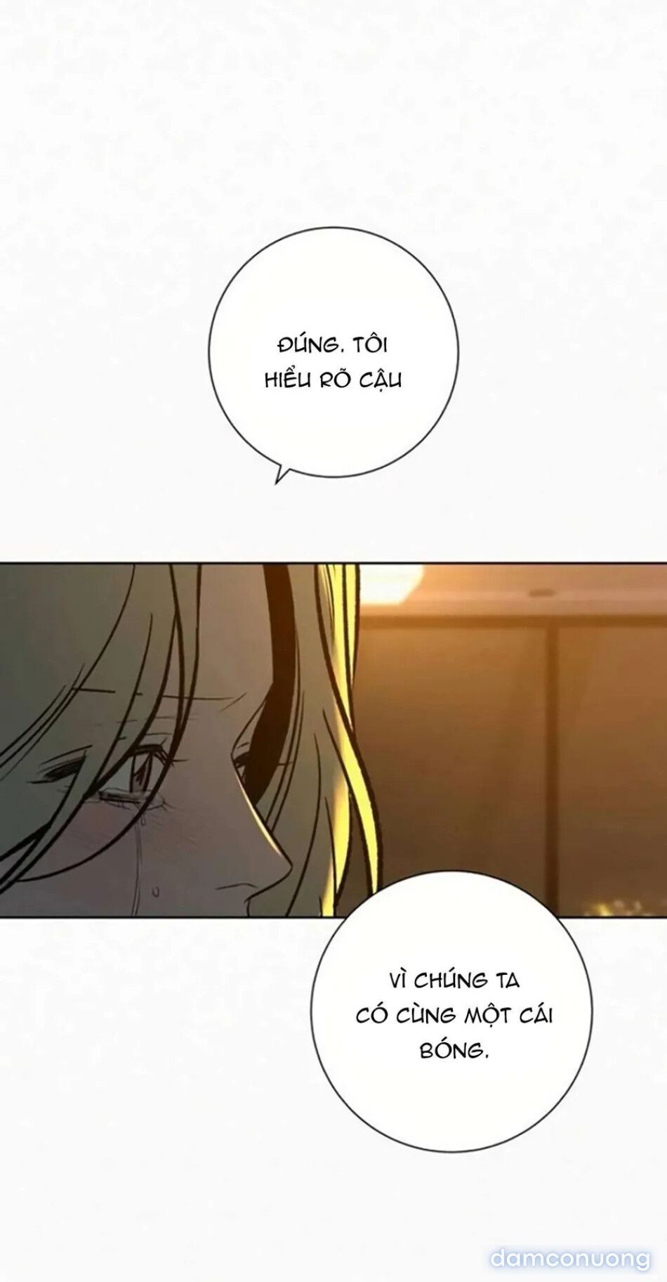 đọc truyện Tình Yêu Trong Sáng Chương 136 ảnh 39 tại Thiên Thai Truyện